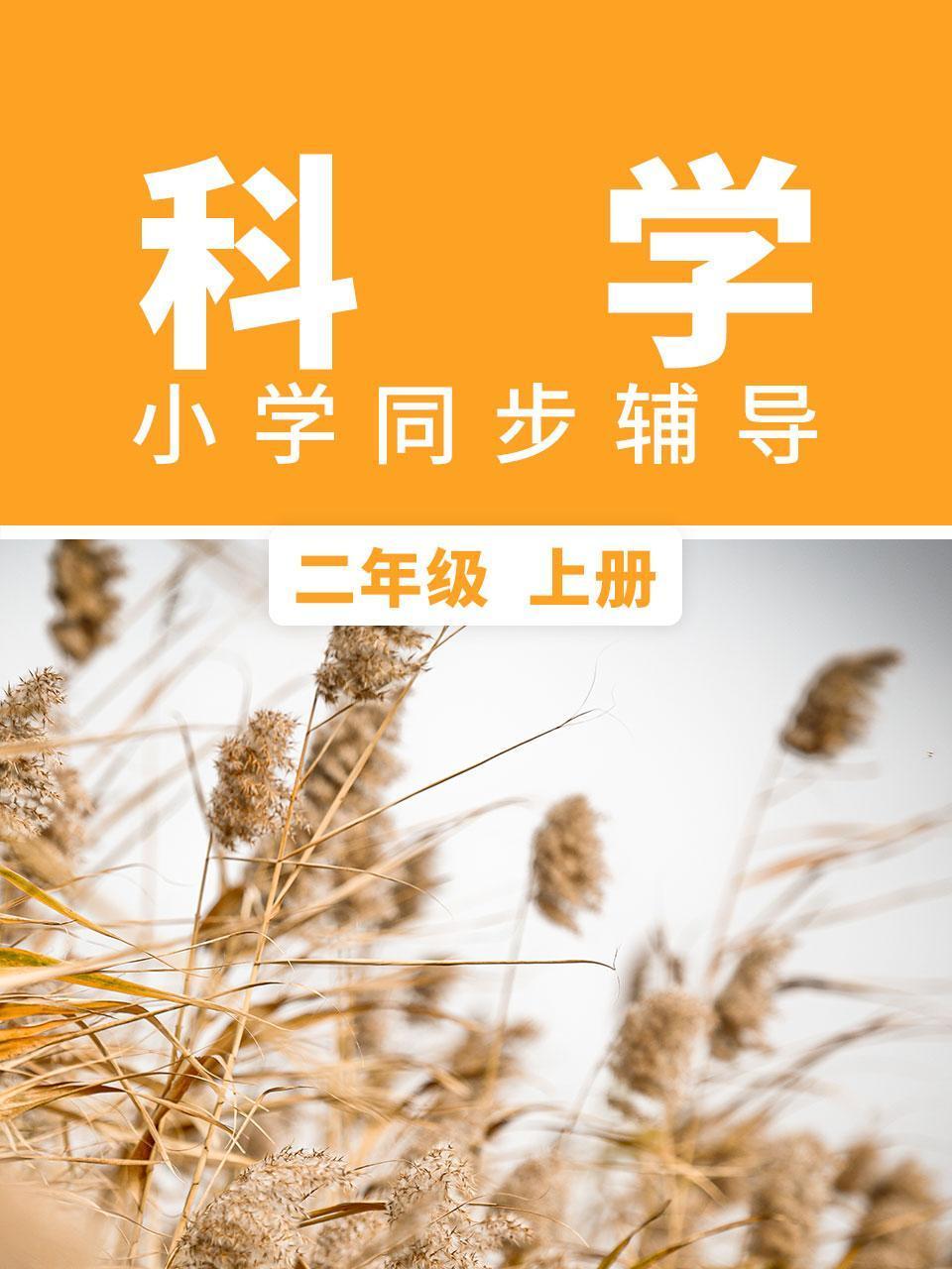 科学小学同步辅导二年级上册