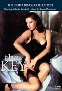 人人澡人人爽精品AV视频