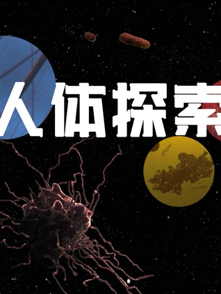 人体探索